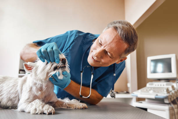 Best Urgent Dental Care in Prospect, KY